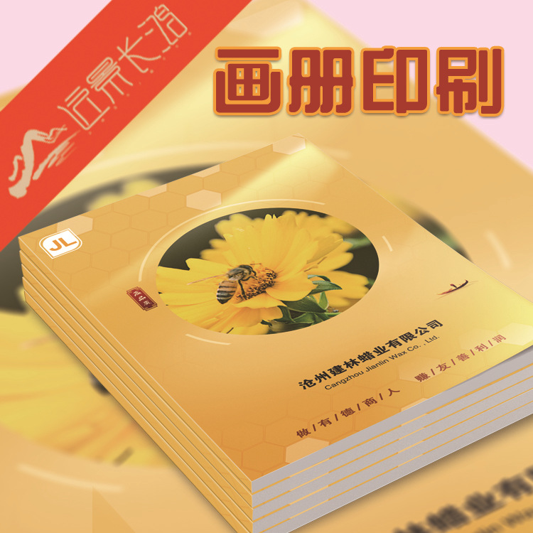 司产品图册说明书  企业宣传画册印刷设计公 印刷画册